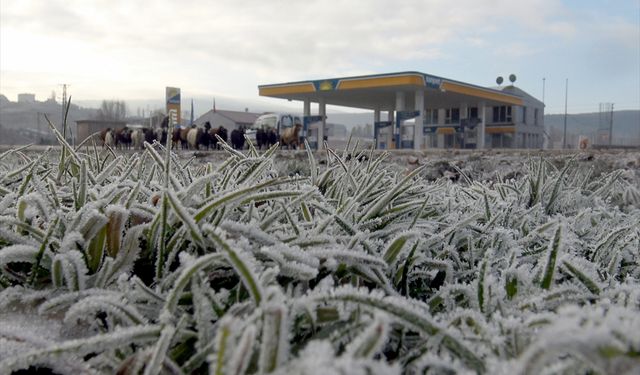 Doğu illeri donmaya başladı!