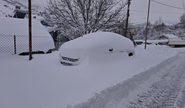 Tunceli'de kar esareti: 189 köy yolu ulaşıma kapandı