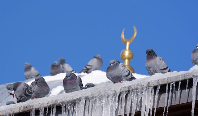 Erzurum’da termometreler -18’i gösterdi