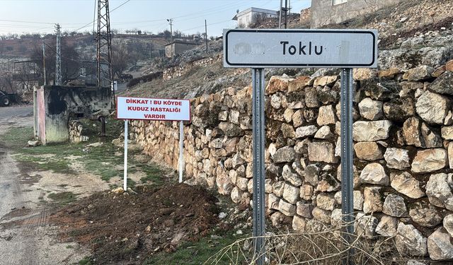 Adıyaman'da kuduz paniği: Köy karantinaya alındı!