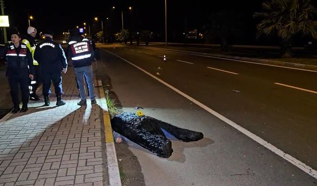 Kardeşini korumak isterken canından oldu