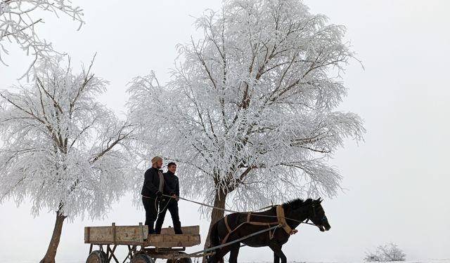 En düşük hava sıcaklığı eksi 27,8 derece ile Erzincan'da ölçüldü