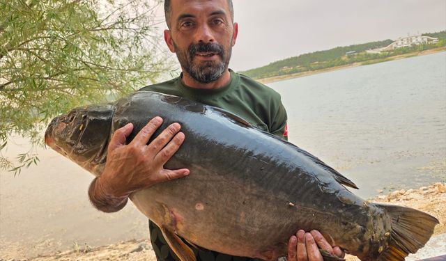Gölette oltaya 28 kilo 600 gramlık sazan takıldı!