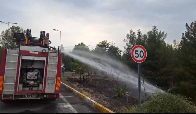 Dicle Üniversitesi'nde yangın
