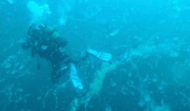 Marmara Denizi'nde müsilaj alarmı!