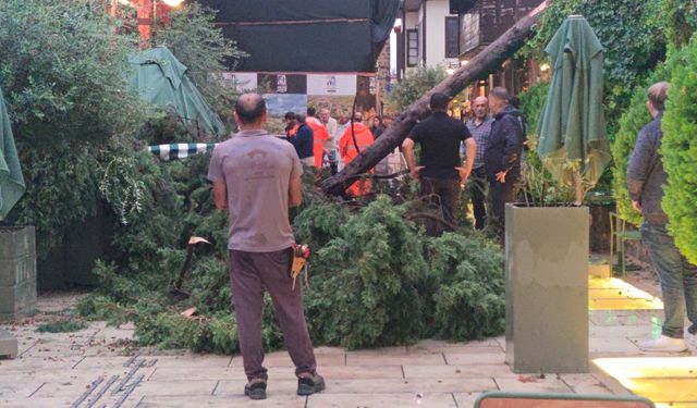 Fırtına öyle bir vurdu ki! 3 yaralı