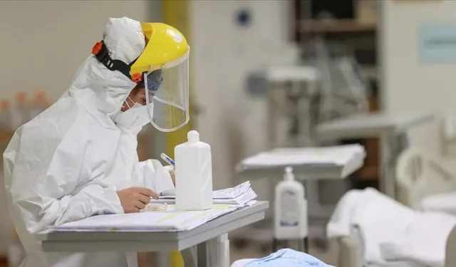 Kuzey Yarımküre'de "H3N2" alarmı