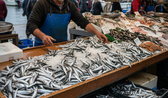 Hamsinin kilogram fiyatı 50 lira