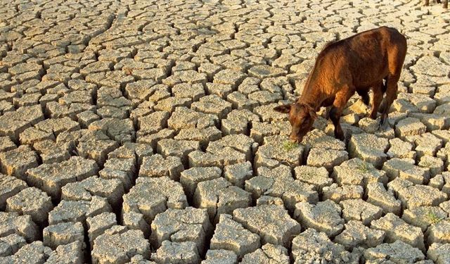 Tahran dahil 20 eyalet ciddi su kriziyle karşı karşıya!