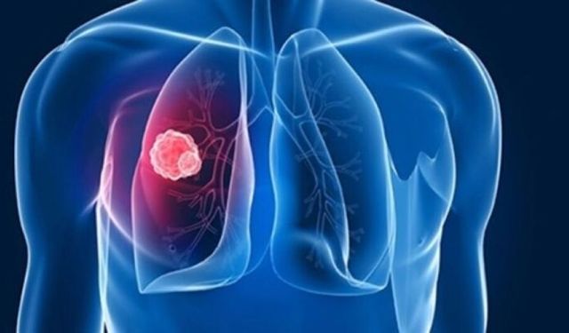 DSÖ’den Korkutan Uyarı!