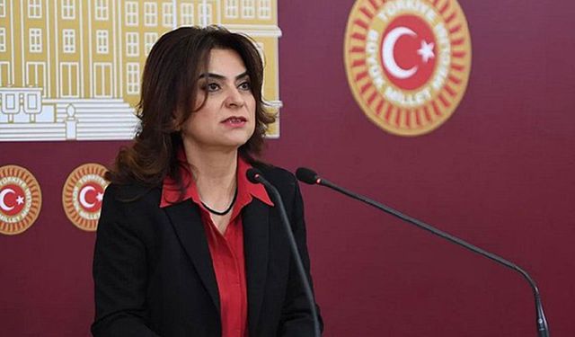 DEM Partili Koçyiğit: Silahların susması bir sonuç değil başlangıçtır!