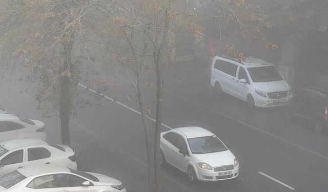 Diyarbakır'da uçak seferlerine sis engeli