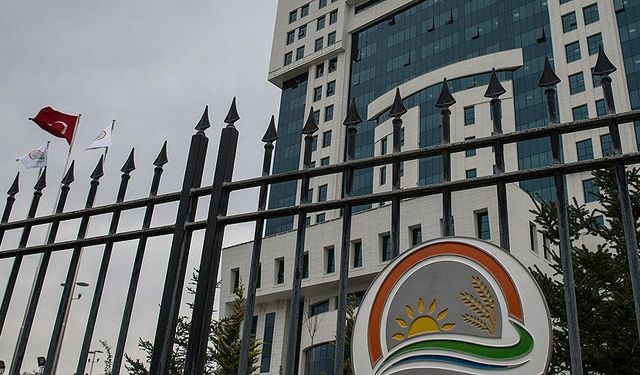 Uygunsuz gıdaya ceza yağdı: 141 milyon lira kesildi