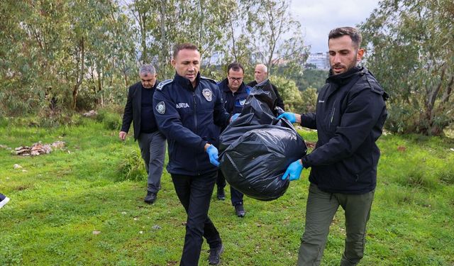 İzmir'de zehirlenen hayvanlarla ilgili inceleme başlatıldı!