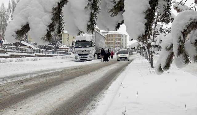 Doğu illeri İlkbaharda kara teslim!