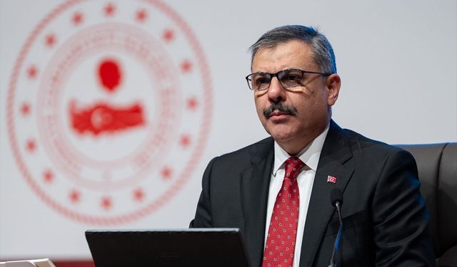 İçişleri Bakanı Çiftçi: Türkiye'deki sokak hayvanlarının %80'i toplandı