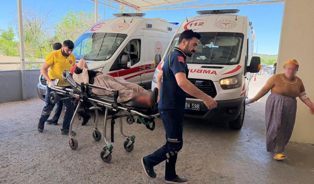 Yılanı vurmak isteyen şahıs 5 kişiyi yaraladı!
