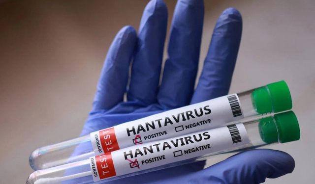 Avrupa İlaç Ajansı: Hantavirüs için onaylı tedavi ve aşı yok!