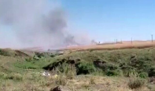 Bir kıvılcım 150 dönümü kül etti