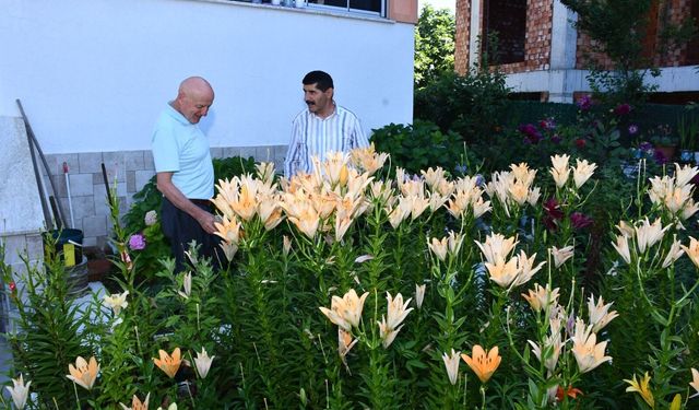 Avrupa'dan getirdiği tohumlarla çiçek cenneti oluşturdu