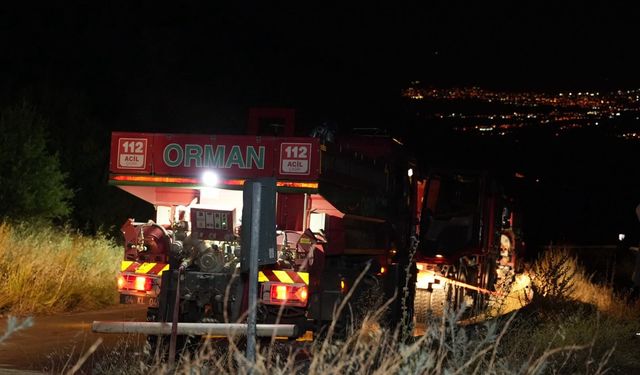 Denizli'deki orman yangını rüzgarla yeniden büyüdü