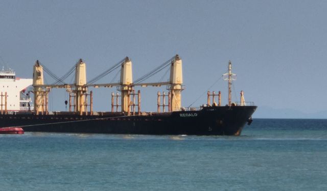 Tekirdağ'da 169 metrelik gemi karaya oturdu!