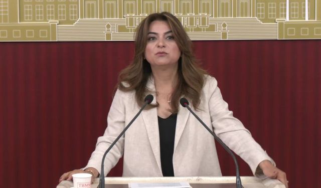 DEM Partili Koçyiğit: Çerçeve yasa sonuç değil, başlangıç olmalı