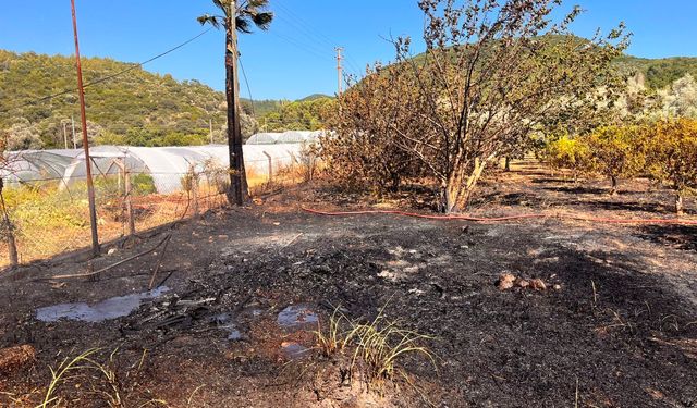 Marmaris'te zirai alan yangını kontrol altında