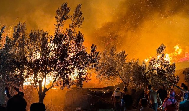 Antalya'da orman yangını başladı!