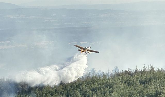 Çanakkale Bayramiç'te orman yangını