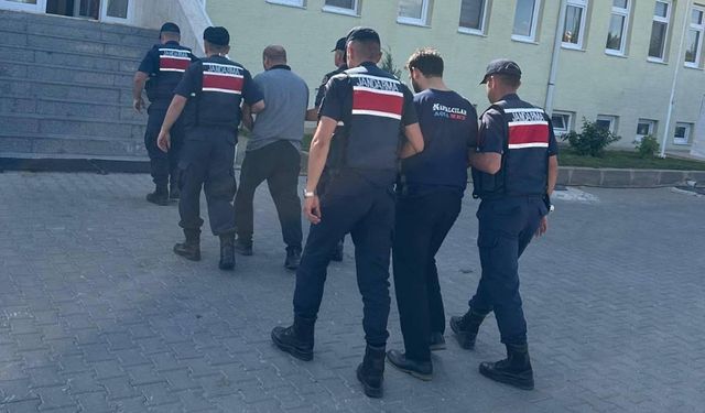 Köpeklerin kavgasına sinirlendi, çobanı öldürdü