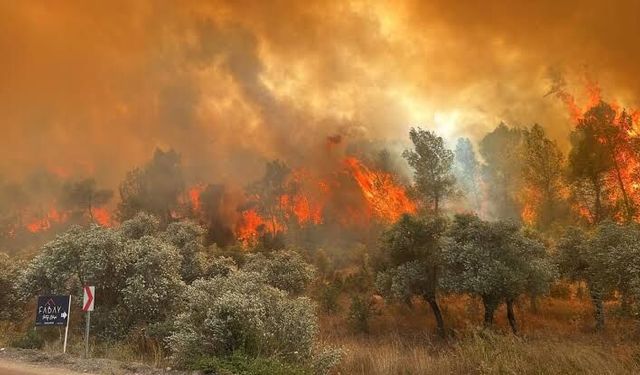 Balıkesir'de yangın kontrol altına alındı