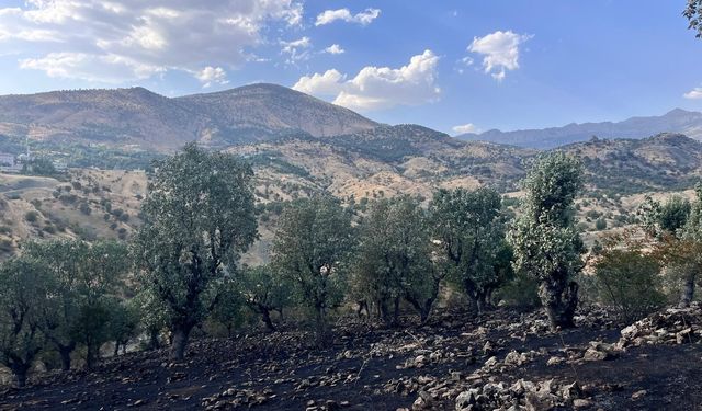 Siirt’te 5 ayrı noktada yangın alarmı