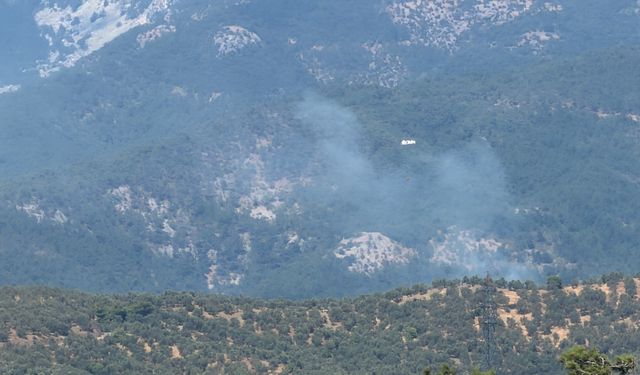 Zeytinlikte çıkan yangın Kazdağı Milli Parkı’na sıçradı
