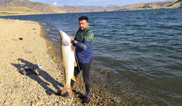 Keban Baraj Gölü’nde 30 kiloluk dev turna balığı