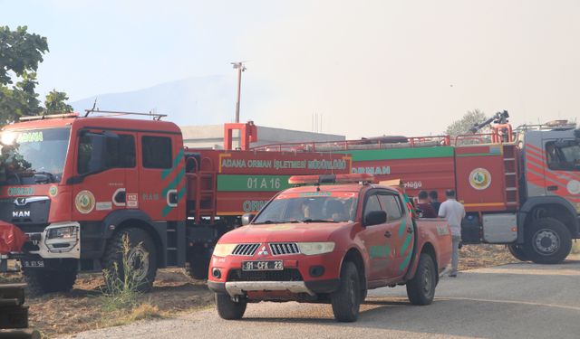 Evlerin yanında orman yangını çıktı