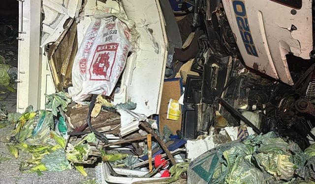 Tarsus-Pozantı otoyolunda kamyon ile tır çarpıştı: 1 ölü