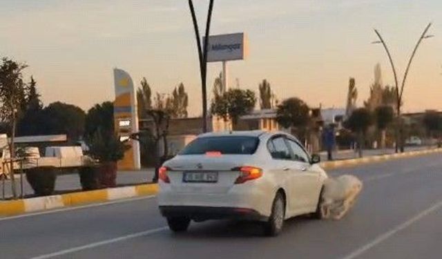 Karayoluna fırlayan 3 keçi aracın çarpması sonucu telef oldu