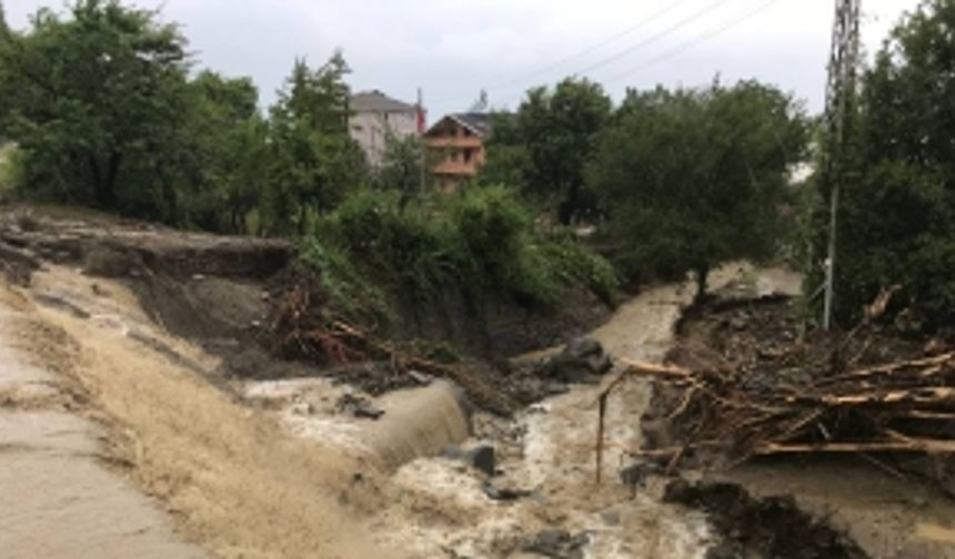 Sinop'tan yardım çığlıkları