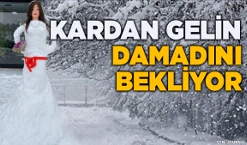 Kardan geline yoğun ilgi