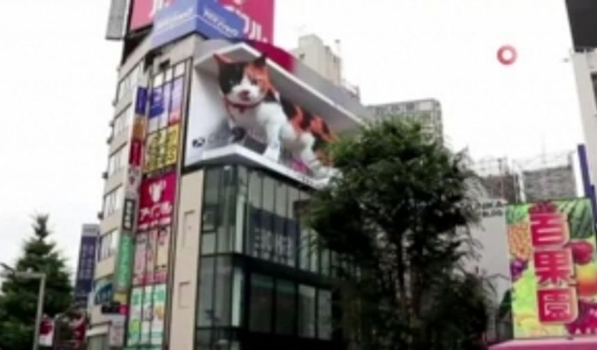 Tokyo'daki 3 boyutlu dev kedi gerçeğini aratmıyor