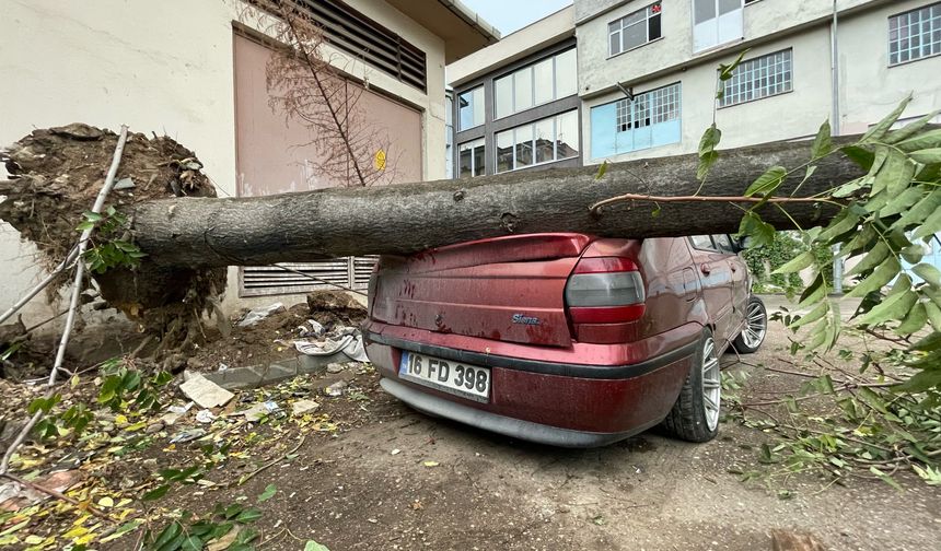 Bursa'da yağış felakete dönüştü