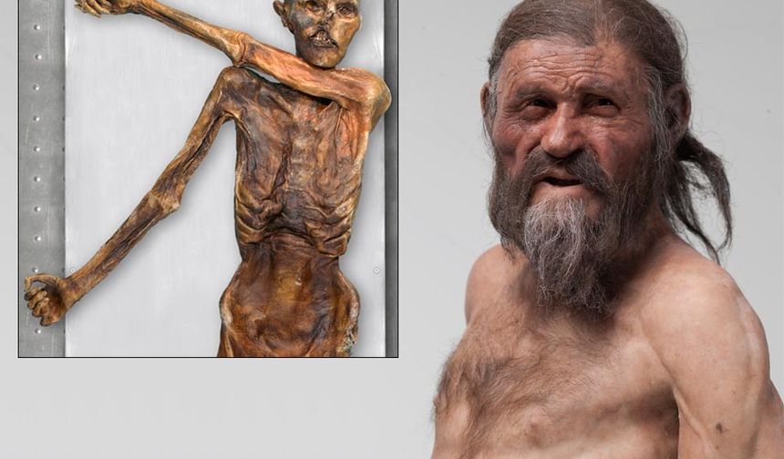 5300 yıllık Buz adam Ötzi Anadolu insanı çıktı!