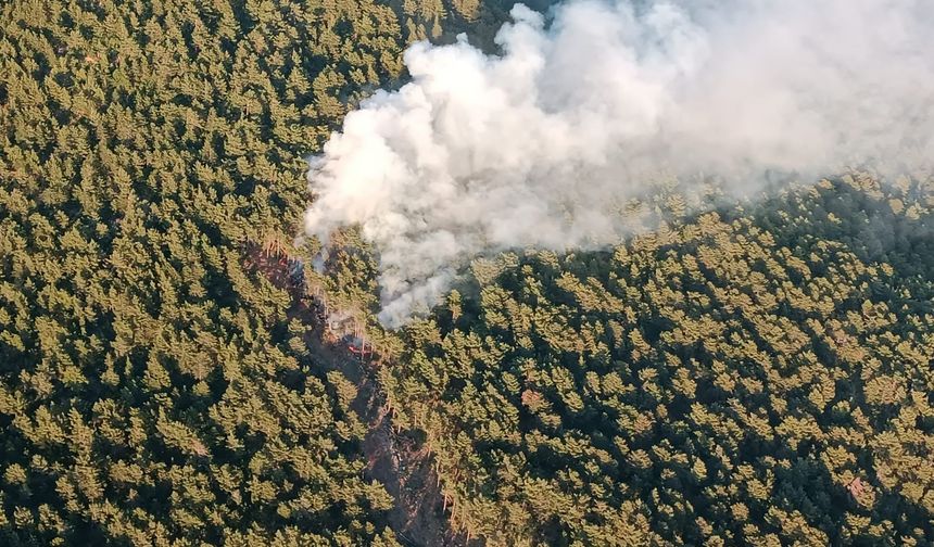Hatay'daki yangına müdahale sürüyor