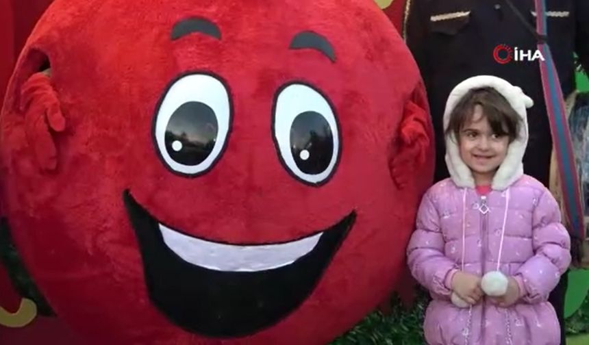 Tahran’da Nar Festivali’ne yoğun ilgi!