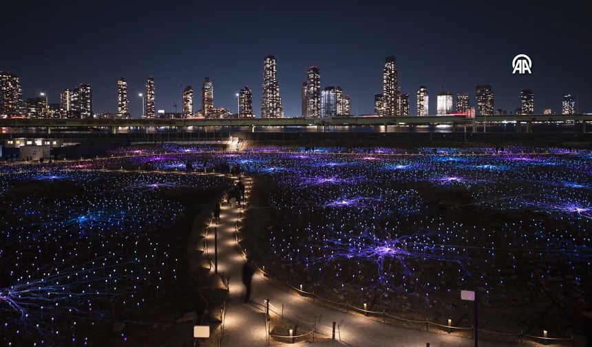 Bruce Munro'nun 'Işık Tarlası' gösterisi ziyarete açıldı