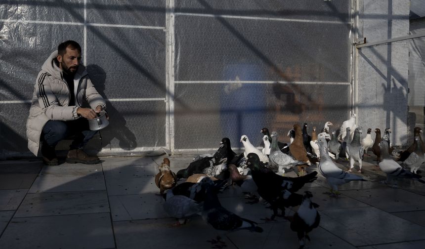 Depremden sonra yağmur suyuyla besledi: Onlardan ayrılamıyor!