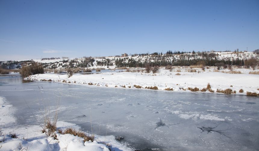 Kuş cenneti buz tuttu