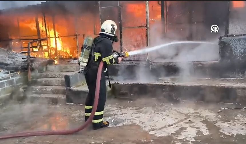 Yanan Güvercin Oteli'ndeki çok sayıda güvercin öldü