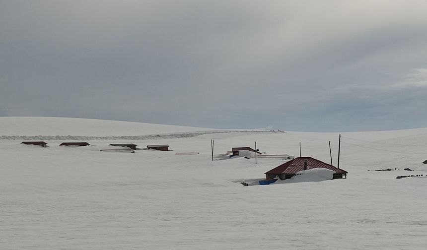 Yayla evleri kar altında kaldı